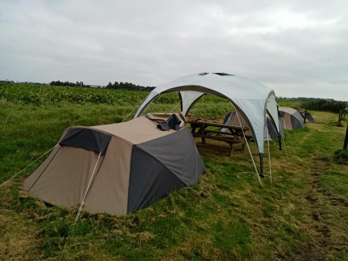 Basic 2P Tent Sotterum Ξενοδοχείο Kornwerd Εξωτερικό φωτογραφία
